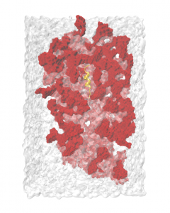 helix_in_ribo